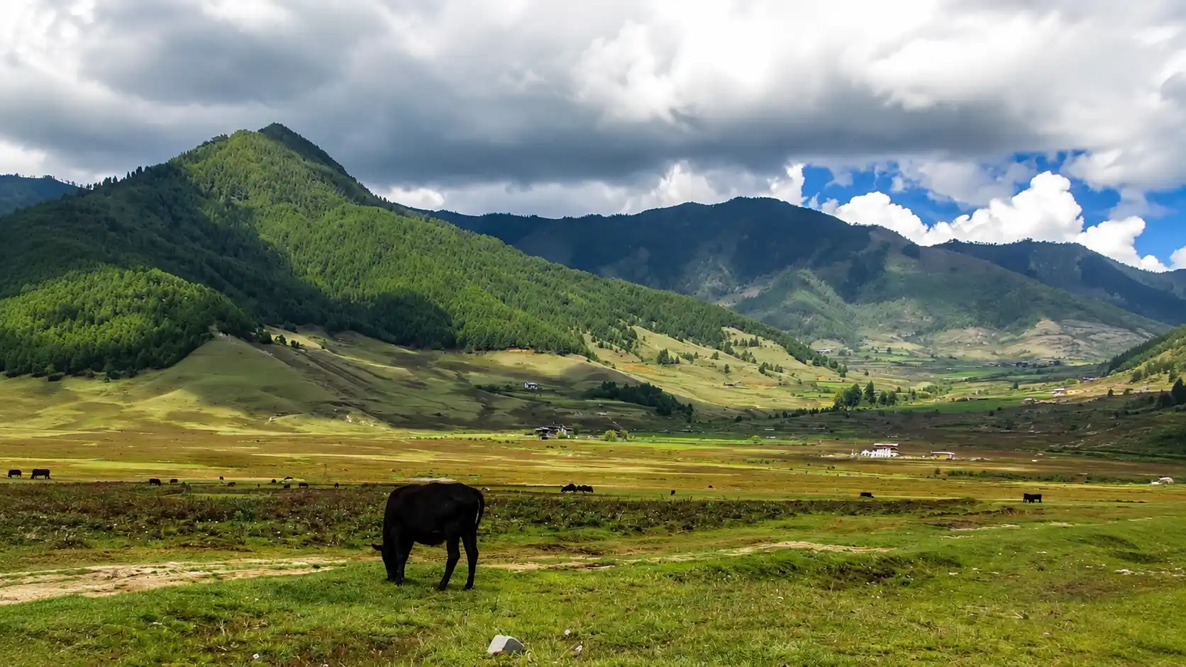 Royal Bhutan Discovery 6 Nights 7 Days - Paro Taktsang Tiger's Nest, Punakha Dzong & Thimphu Valley Road Tour